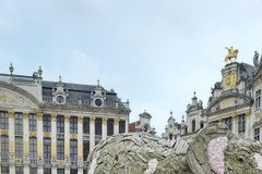 Stado słoni na Grande Place w Brukseli