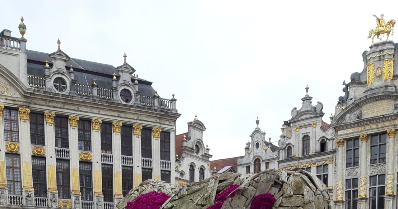 Stado słoni na Grande Place w Brukseli