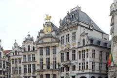 Stado słoni na Grande Place w Brukseli