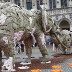 Stado słoni na Grande Place w Brukseli