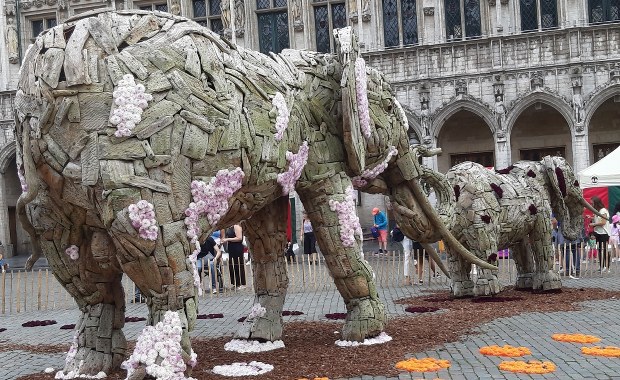 Stado słoni na Grande Place w Brukseli