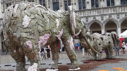 Stado słoni na Grande Place w Brukseli