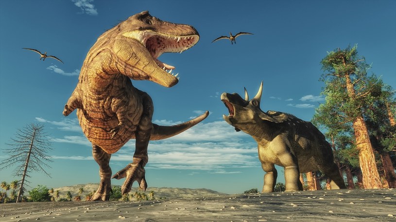 Stałocieplne dinozaury. Kiedy na Ziemi pojawiły się pierwsze gatunki?
