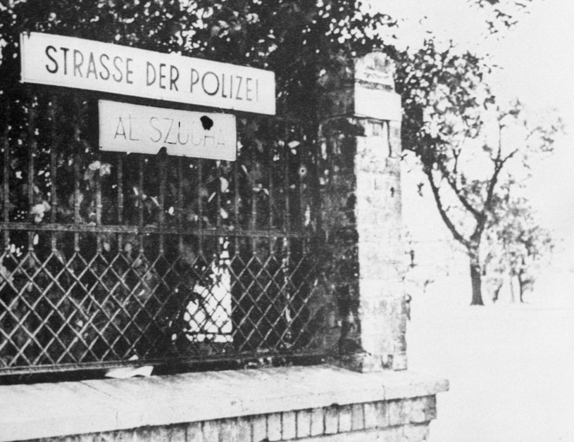 Stamm mieszkał w kamienicy przy al. Szucha, niemal naprzeciwko gmachu Gestapo /Danuta Lomaczewska /East News
