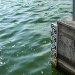 Stan alarmowy przekroczony na rzece Krznie w Lubelskiem