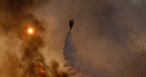 Stan alarmowy z powodu pożarów i fali upałów. Portugalia w ogniu