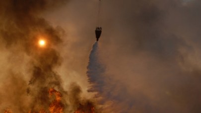 Stan alarmowy z powodu pożarów i fali upałów. Portugalia w ogniu