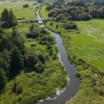 UNESCO Stan Puszczy Białowieskiej jest "krytyczny". Eksperci alarmują