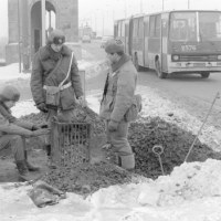 Stan Wojenny widziany przez obiektyw  