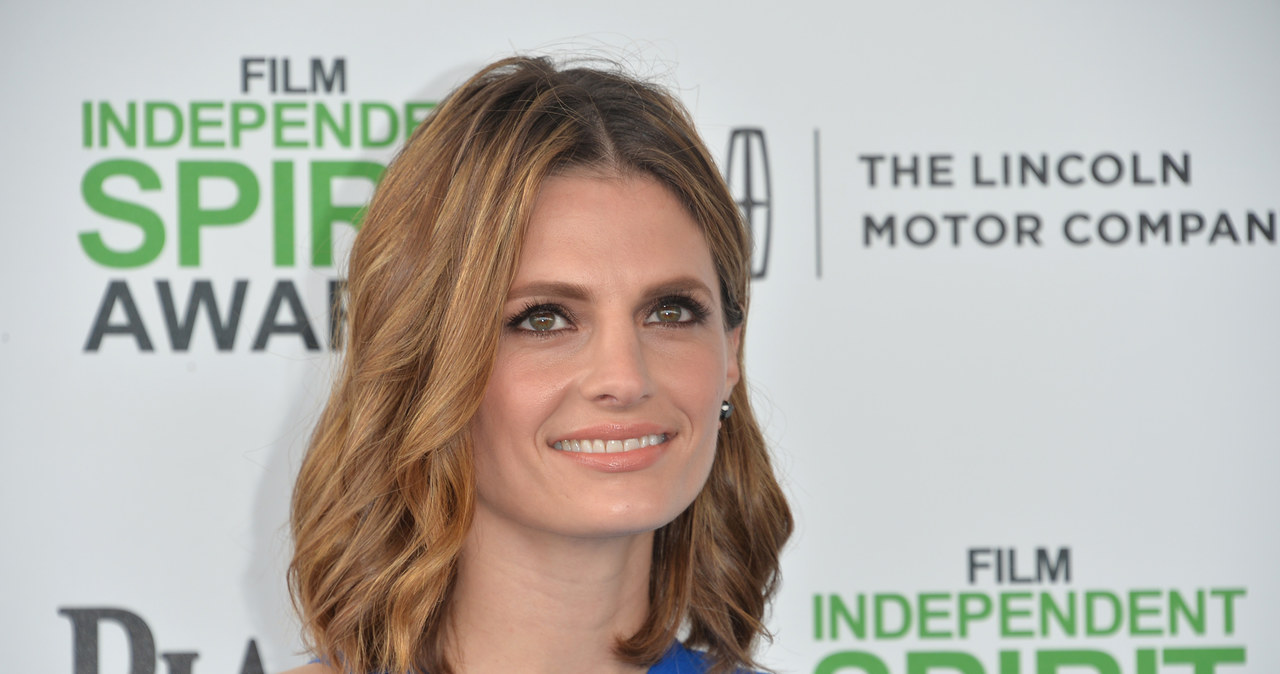 Stana Katic /Alberto E. Rodriguez /Getty Images