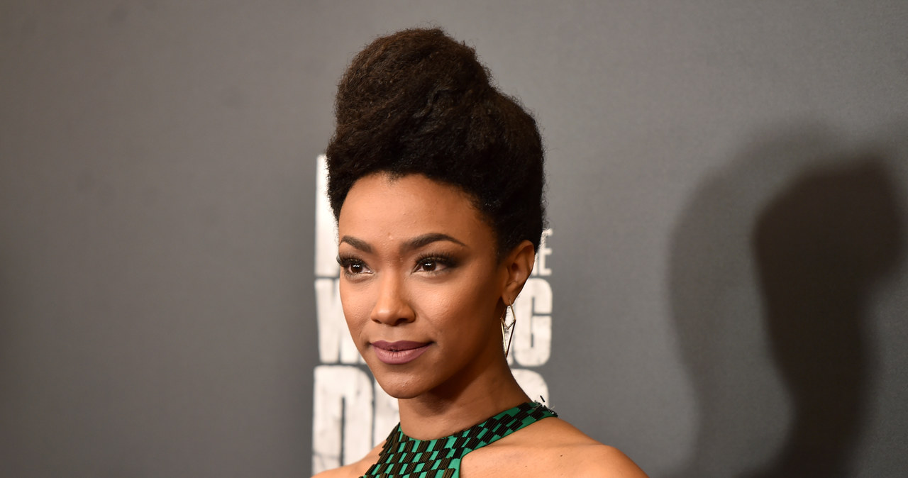 "Star Trek Discovery": Sonequa Martin-Green wcieli się w główną rolę /Alberto E. Rodriguez /Getty Images