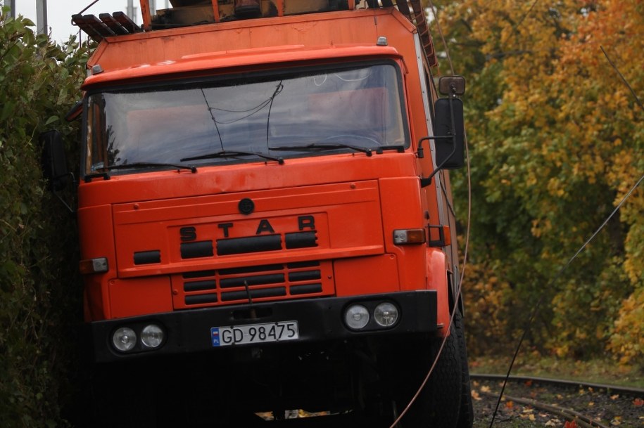 Star /Roman Jocher    /PAP