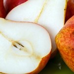 Stara odmiana gruszki, uważana z najsmaczniejsza na świecie. Rozpływa się w ustach, ma cytrynowo-korzenny smak