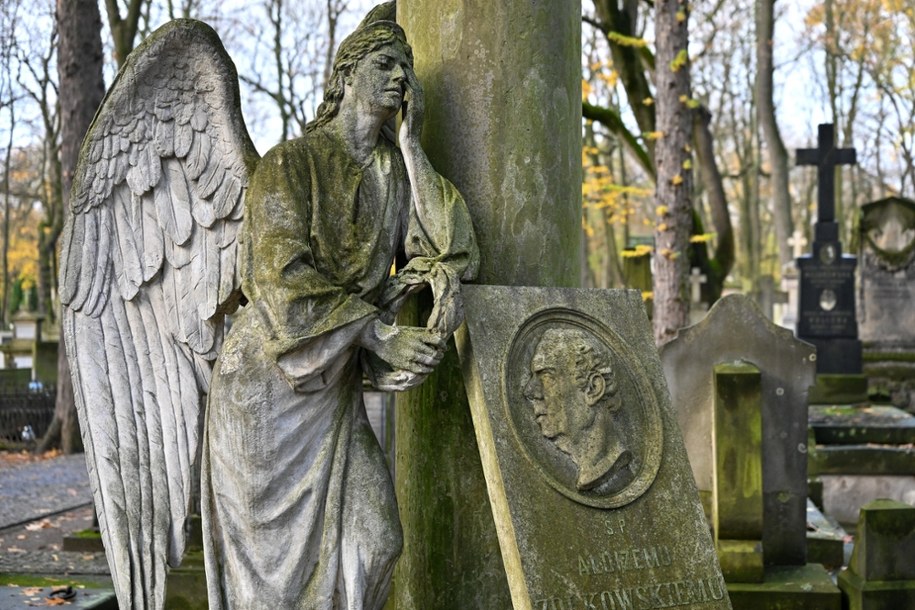 Stare Powązki, część Cmentarza Powązkowskiego w Warszawie /Darek Delmanowicz /PAP