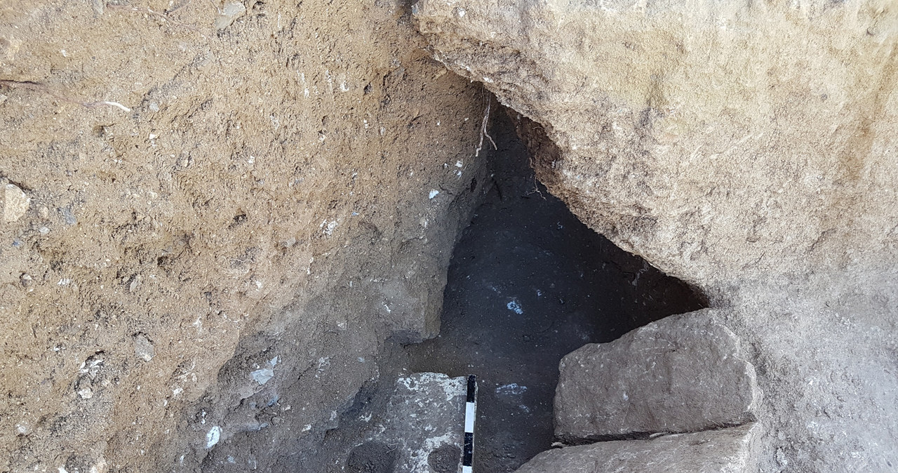 Starożytna toaleta zawierała aż 4 pasożyty świadczące o kiepskich warunkach higienicznych /Ya’akov Billig, The Israel Antiquities Authority /materiały prasowe