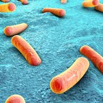 Starożytne bakterie oporne na dzisiejsze antybiotyki