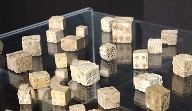 Starożytne Las Vegas? Archeolodzy znaleźli ponad 1000 kości do gry