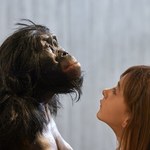 Starożytne zęby ujawniają sąsiedztwo naszych przodków z tajemniczym homininem
