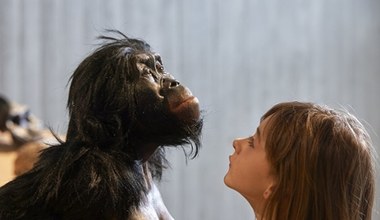 Starożytne zęby ujawniają sąsiedztwo naszych przodków z tajemniczym homininem