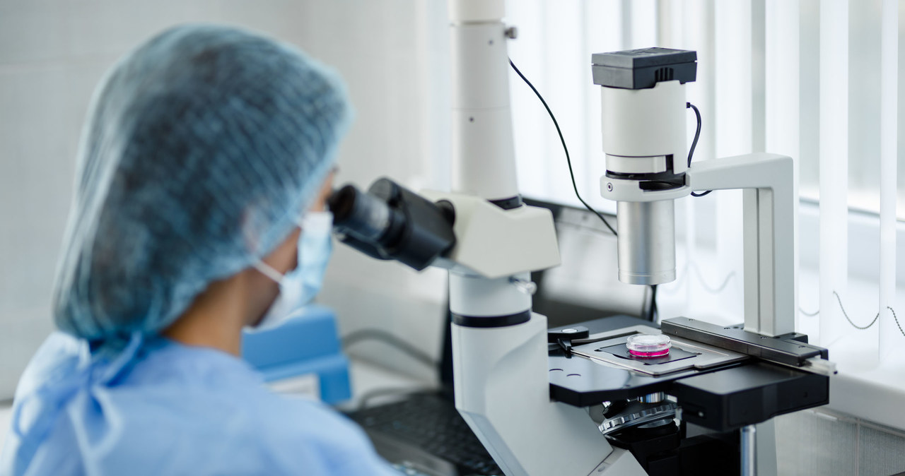 Start-upy biotechnologiczne wygranymi koronakryzysu? /123RF/PICSEL