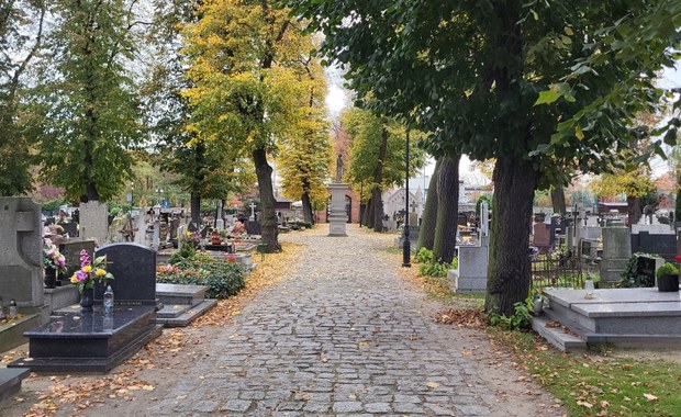 Stary cmentarz w Ostrowie Wielkopolskim. Jedna z najstarszych nekropolii w Polsce