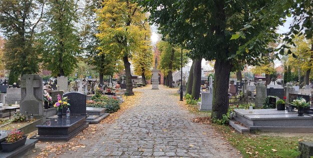 Stary Cmentarz w Ostrowie Wielkopolskim /Beniamin Piłat /RMF FM