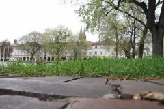 Stary Rynek w Łodzi zmieni się na lepsze