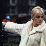 Britt Ekland "Statek miłości": Britt Ekland zniszczyła sobie urodę? Jak wygląda dzisiaj?