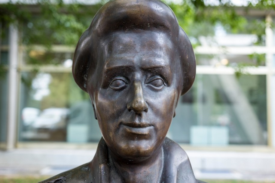 Statua Róży Luksemburg w Berlinie /Shutterstock