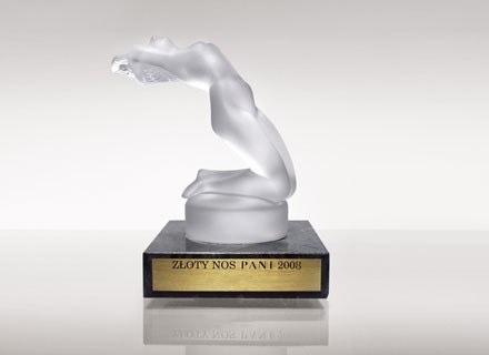 Statuetka "Złoty Nos Pani 2008"