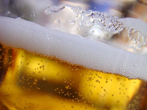 Statystyczny Polak wypija 97 litrów piwa rocznie /&copy; Panthermedia