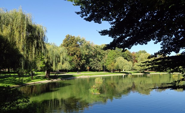Staw w centrum miasta czeka remont. Co zyska kielecka atrakcja?