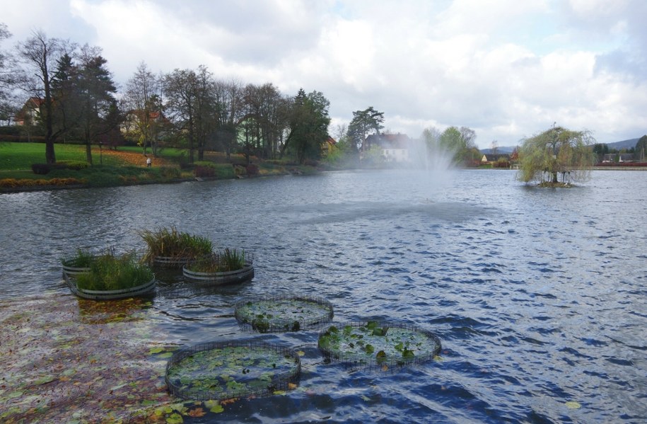 Staw w Kudowie-Zdroju / MAREK BAZAK  /East News