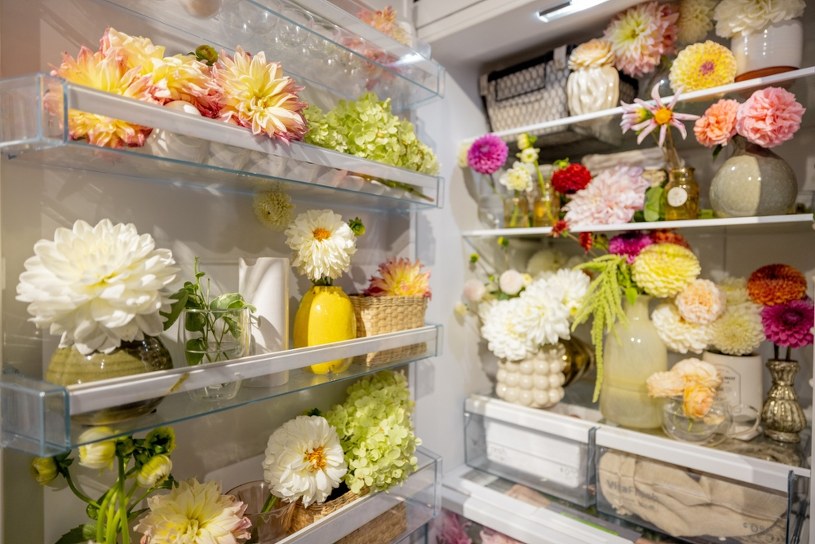 Stawiają w lodówce lustra, zdjęcia i żywe kwiaty. Najdziwniejszy trend