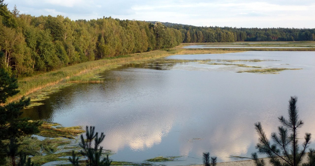 Stawy Echo — miejsce, które warto odwiedzić w województwie lubelskim /Lysy/CC BY-SA 3.0 /CC BY-SA 3.0