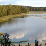 Stawy wśród lasów. Miejsce idealne na odpoczynek dla miłośników przyrody