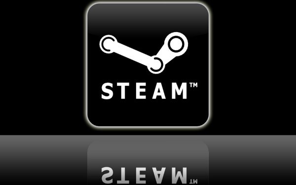 Steam - logo /Informacja prasowa