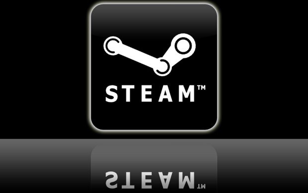 Steam - logo /Informacja prasowa