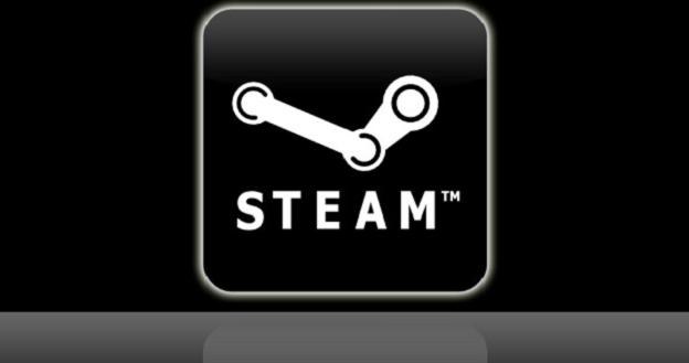 Steam - logo /Informacja prasowa