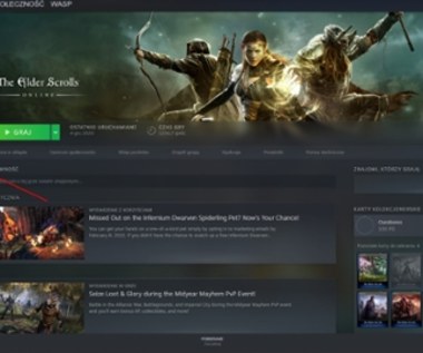 Steam pochwalił się wynikami za ubiegły rok. Platforma z grami rośnie w siłę