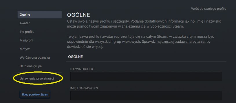 Steam /INTERIA.PL