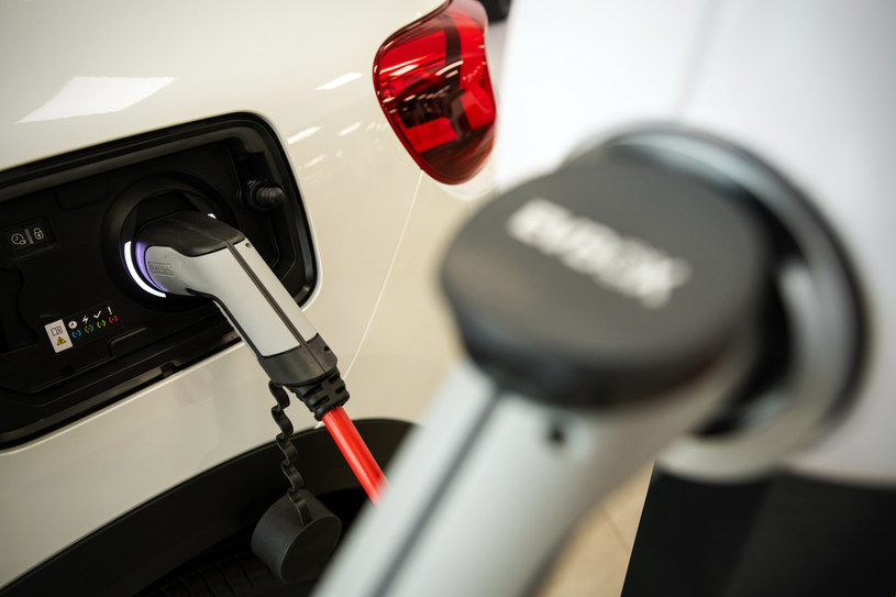 Stellantis mocno rozwija samochody elektryczne /Getty Images