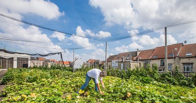 Steven Beckers, pomysłodawca Miejskich Farm /EPA