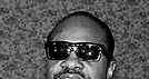 Stevie Wonder /Encyklopedia Internautica