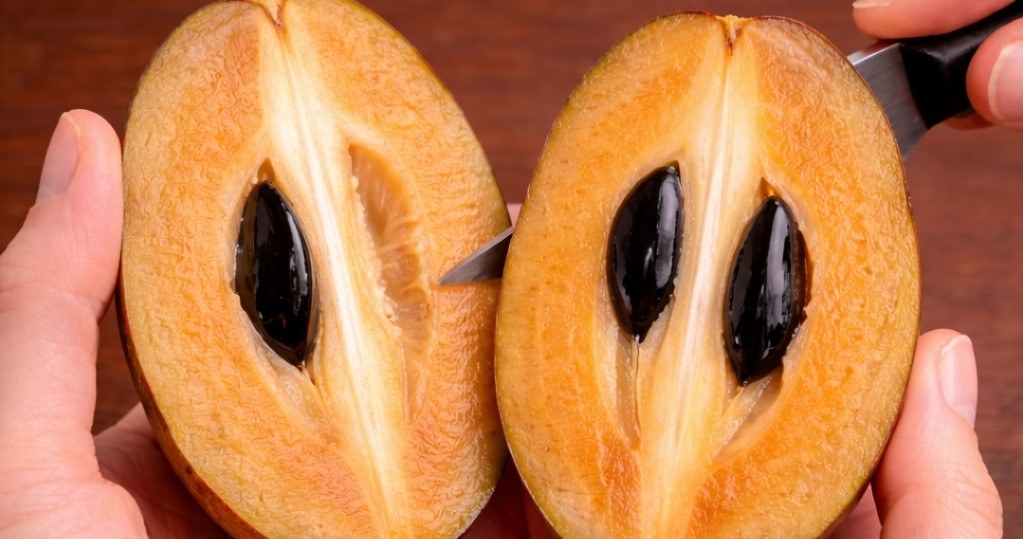 Стигла саподила м’яка та соковита, її зазвичай їдять свіжою, а також використовують у десертах та напоях /Domena publiczna