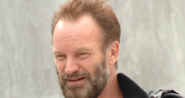 Sting &nbsp; /Splashnews