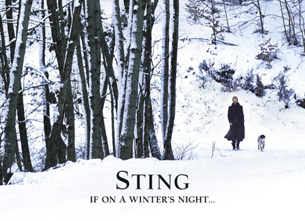 Sting na okładce płyty "If On A Winter's Night" /