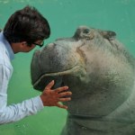 Stołeczne zoo zaprasza na urodziny najstarszego hipopotama nad Wisłą