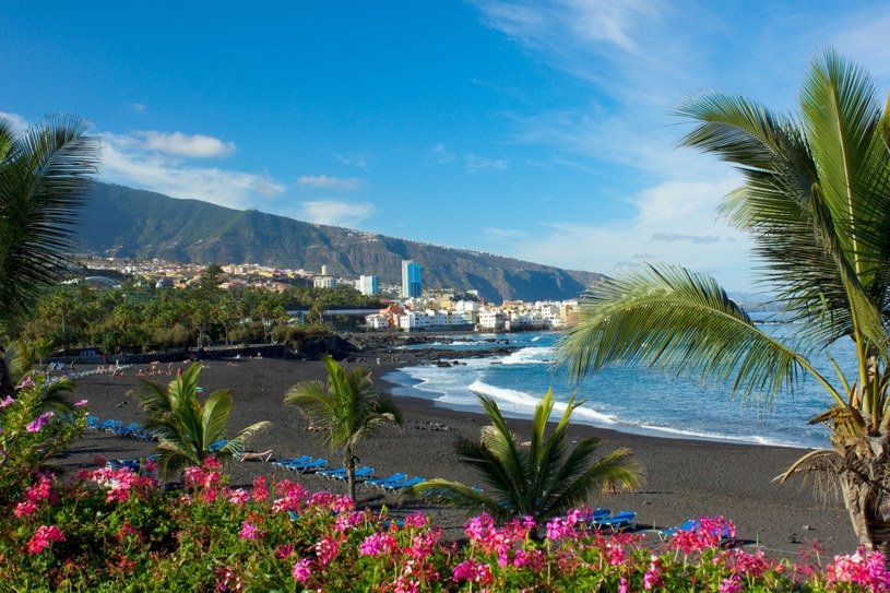 Stolica wyspy Santa Cruz de Tenerife /123RF/PICSEL