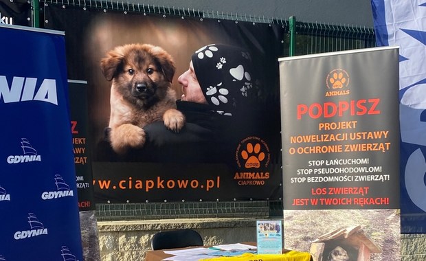 Stop łańcuchom! Na Pomorzu trwa zbiórka podpisów pod projektem zmiany ustawy 